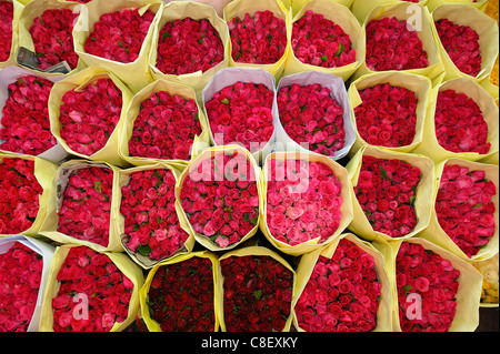 Fleurs exotiques, fleurs,, Pak Khlong Market, Bangkok, Thaïlande, Asie, rouge Banque D'Images