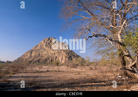 La colline de sexe masculin, 410m, dans l'ouest du désert du Kalahari, Tsodilo Hills sites d'art rupestre, UNESCO World Heritage Site, Ngamiland, Botswana Banque D'Images