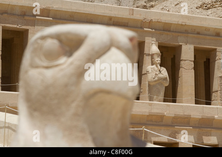 Horus le dieu patron des anciens Égyptiens, Nornally représenté comme un homme à tête de faucon portant une couronne rouge et blanc Banque D'Images