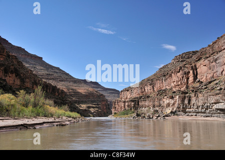 Rivière San Juan, entre Bluff et Mexican Hat, du Plateau du Colorado, Utah, USA, United States, Amérique, Banque D'Images