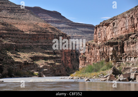 Rivière San Juan, entre Bluff et Mexican Hat, du Plateau du Colorado, Utah, USA, United States, Amérique, Banque D'Images