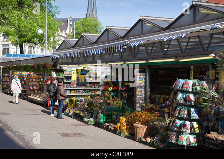 Bloemenmarkt (marché aux fleurs, Amsterdam, Pays-Bas Banque D'Images