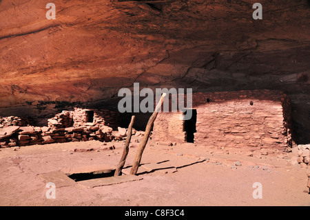 Anasazi, Cliff dwellings, Parfait Kiva, ruine, Bullet Canyon, Grand Gulch Zone Primitive, Cedar Mesa, du Plateau du Colorado, Utah, USA Banque D'Images