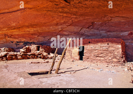 Anasazi, Cliff dwellings, Parfait Kiva, ruine, Bullet Canyon, Grand Gulch Zone Primitive, Cedar Mesa, du Plateau du Colorado, Utah, USA Banque D'Images