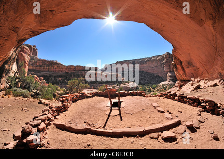 Anasazi, Cliff dwellings, Parfait Kiva, ruine, Bullet Canyon, Grand Gulch Zone Primitive, Cedar Mesa, du Plateau du Colorado, Utah, USA Banque D'Images