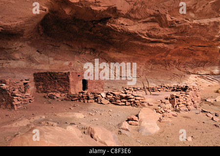 Anasazi, Cliff dwellings, Parfait Kiva, ruine, Bullet Canyon, Grand Gulch Zone Primitive, Cedar Mesa, du Plateau du Colorado, Utah, USA Banque D'Images