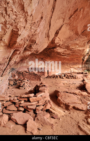 Anasazi, Cliff dwellings, Parfait Kiva, ruine, Bullet Canyon, Grand Gulch Zone Primitive, Cedar Mesa, du Plateau du Colorado, Utah, USA Banque D'Images