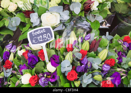 Fleurs à afficher dans le Bloemenmarkt (marché aux fleurs, Amsterdam, Pays-Bas Banque D'Images