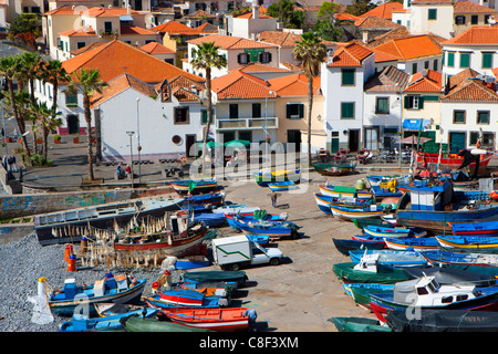 Camara de Lobos, Madère, Portugal, Europe, la ville, l'autre, les maisons, les maisons, les palmiers, les bateaux, bateaux de pêche, port, port, Banque D'Images