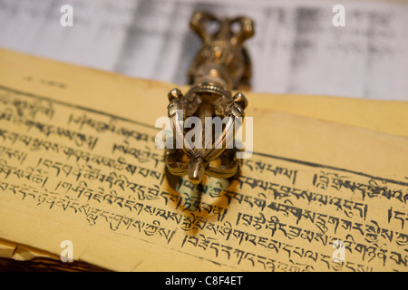 Livre de prières bouddhistes tibétains et de sulfure de cuivre, Basgo Gompa, Basgo, (Ladakh) Jammu-et-Cachemire, l'Inde Banque D'Images