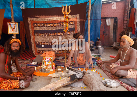 Sadhus Naga dans leur akhara à la Kumbh Mela à Hardwar, Uttarakhand, Inde Banque D'Images