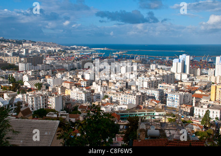 Vue sur Alger, Algérie, Afrique du Nord Banque D'Images