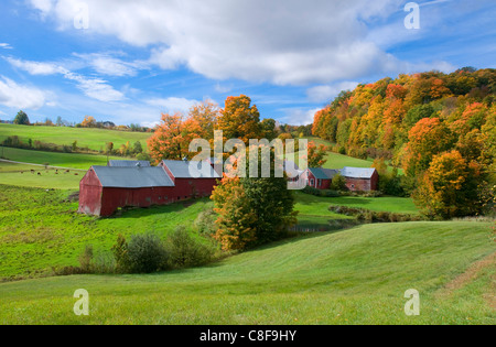 Autumn foliage surrounding red barns at Jenne Farm in South Woodstock, Vermont, New England, United States of America Banque D'Images