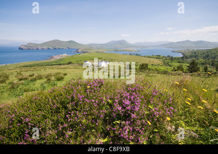 Valentia Island, Ring de Kerry, comté de Kerry, Munster, République d'Irlande Banque D'Images