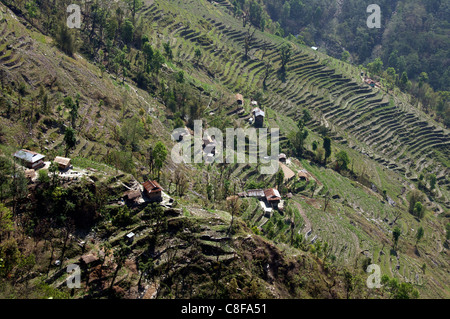 Vue aérienne de terrasses à flanc sud-est de l'Inde Sikkim Banque D'Images