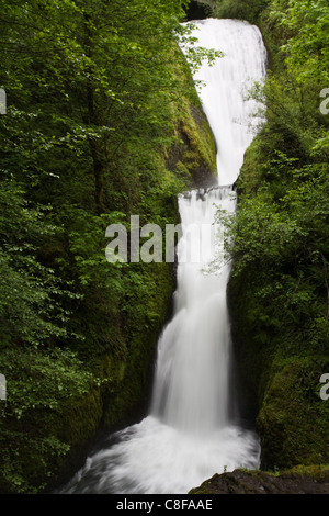 Bridal Veil Falls, Columbia River Gorge, Oregon, United States of America Banque D'Images