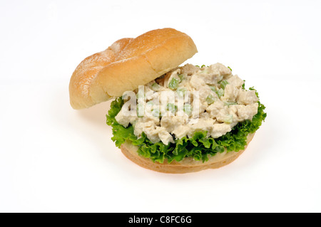 Sandwich à la salade de poulet avec Mayo, la laitue et le céleri dans bulkie avec rouleau de pain ouvert top off sur fond blanc, découpe. Banque D'Images