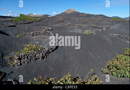 La Geria, Espagne, Europe, rock, falaise, pierre, roche, pente, inclinaison, hill, Canaries, l'île, l'agriculture, Lanzarote, lave, Banque D'Images