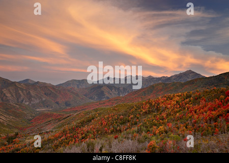 Nuages Orange au coucher du soleil sur l'érable rouge et orange à l'automne, la Forêt nationale d'Uinta, Utah, États-Unis d'Amérique Banque D'Images