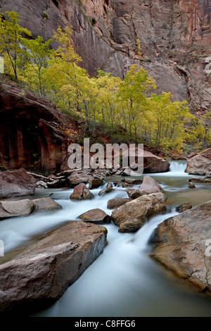 Cascades sur la rivière vierge à l'automne, Zion National Park, Utah, United States of America Banque D'Images