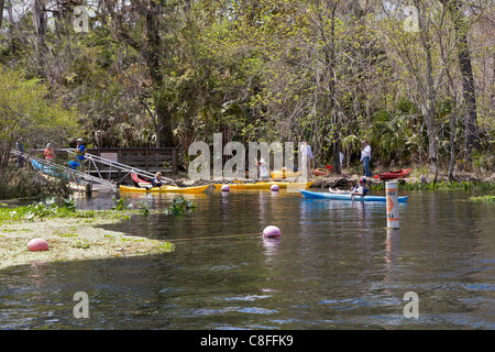 Les kayakistes sur la rivière d'argent faites une pause à l'aire à l'intérieur Silver River State Park à Ocala en Floride Banque D'Images