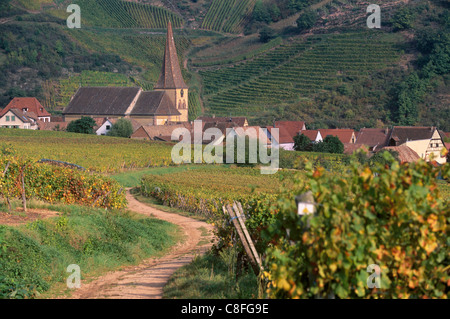 Kaysersberg, village, Route des Vins d'Alsace, et son unique clocher tordu, des vignobles, Haut Rhin, Alsace, France Banque D'Images