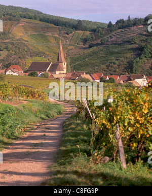 Kaysersberg, village, Route des Vins d'Alsace, et son unique clocher tordu, des vignobles, Haut Rhin, Alsace, France Banque D'Images