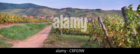 Kaysersberg, village de la Route des vins, des vignobles, Haut Rhin, Alsace, France Banque D'Images