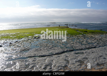 Le Portugal, l'Europe, bas, bas, de la marée, de l'Atlantique, de paysages, de mousse, vert, plage, mer, mer, des pierres Banque D'Images