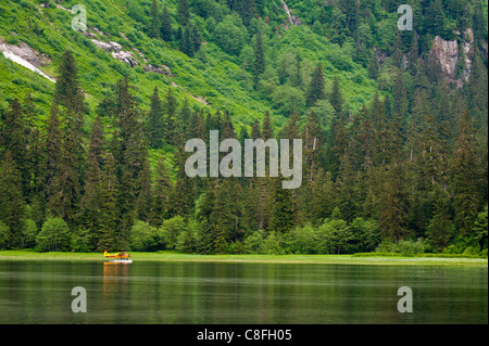 Walker Cove de Misty Fjords National Monument Wilderness Area, sud-est de l'Alaska, l'Alaska, États-Unis d'Amérique Banque D'Images