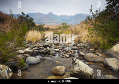 Rivière Mpofane, Monk's Cowl, réserve naturelle Parc Ukhahlamba-Drakensberg, UNESCO World Heritage Site, Kwazulu-Natal, Afrique du Sud Banque D'Images