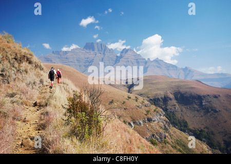 Tableau de bord du moine, réserve naturelle Parc Ukhahlamba-Drakensberg, UNESCO World Heritage Site, Kwazulu-Natal, Afrique du Sud Banque D'Images