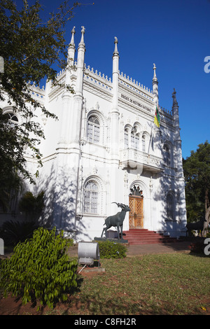 Musée d'Histoire Naturelle, Maputo, Mozambique Banque D'Images