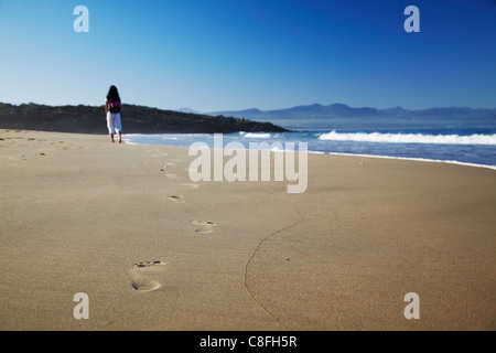 Woman walking on Beach, Cape Town, Western Cape, Afrique du Sud Banque D'Images