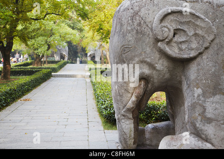 Des statues d'éléphants sur la Statue de pierre Road à Ming Xiaoling, dynastie Ming tombe, UNESCO World Heritage Site, Nanjing, Jiangsu, Chine Banque D'Images