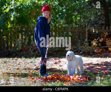 Un enfant ramasser des feuilles dans le jardin avec son chien à côté d'elle Banque D'Images