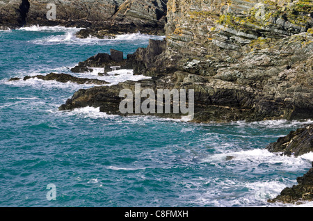 Mer d'Irlande et de la base de la falaise, Penrhyn Mawr, Holyhead, Anglesey, Pays de Galles. Banque D'Images