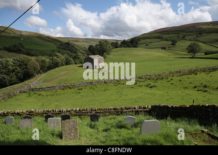 Vue vers le bas vallée avec le fil télégraphique & barn près de Keld, North Yorkshire, UK, partie d'Alfred Wainwright côte à côte à pied. Banque D'Images