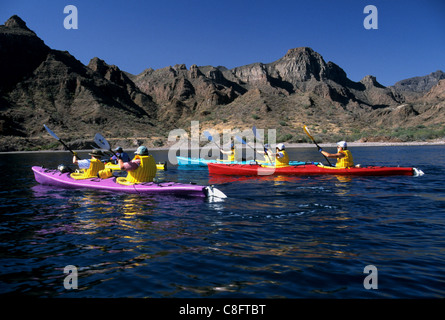 Kayak de mer dans la mer de Cortez Banque D'Images