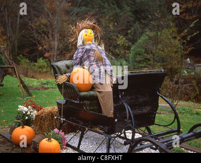 Exposition d'Halloween en bord de route avec citrouilles et épouvantail, Connecticut, États-Unis d'Amérique Banque D'Images