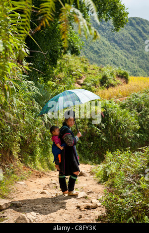 Femme de la tribu H'Mong noir portant des vêtements traditionnels bleu indigo, portant un bébé sur son dos au Nord Vietnam Banque D'Images