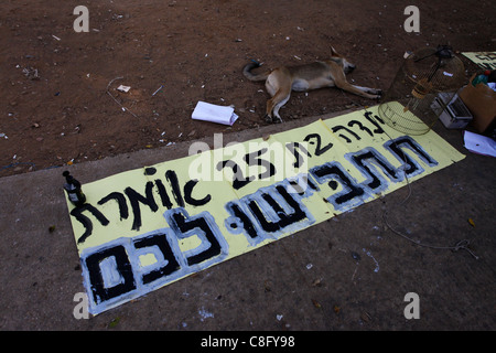 Un signe de carton en hébreu se lit '25 ans, fille, dit honte sur vous' est vu dans la ville de tentes composé dans l'avenue Rothschild à Tel Aviv, Israël. La justice sociale protester également nommé les tentes contestation ont été une série de manifestations en Israël à compter de juillet 2011 impliquant des centaines de milliers de manifestants à partir d'une variété de facteurs socio-économiques s'opposant à la poursuite de l'augmentation du coût de la vie particulièrement dans le secteur du logement. Banque D'Images