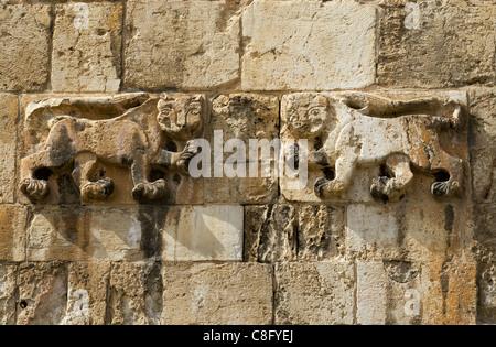 Emblème héraldique du Sultan Mamluk Baybars en forme de lions Sur la porte du Lion du XVIe siècle ou la porte Saint-Étienne également Bab al-Asbat dans le mur ottoman situé à l'est Bord de la vieille ville de Jérusalem Israël Banque D'Images