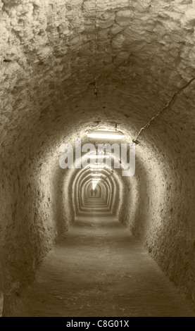 Deux personnes marcher ensemble pour sortir d'un tunnel en pierre. Emplacement : Thesalt,mine,Turda en Roumanie. Banque D'Images