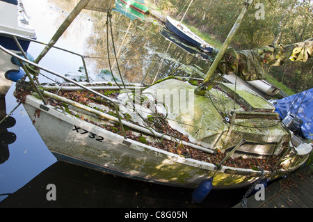 Bateau à voile sale négligées couverts de mousse Banque D'Images