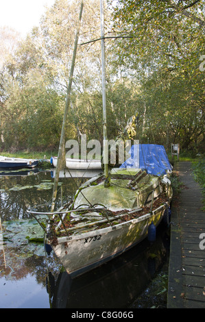 Bateau à voile sale négligées couverts de mousse Banque D'Images