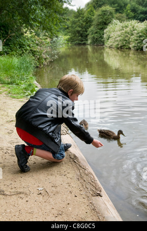 8 ans garçon nourrir les canards colverts à Barrs, près de l'Étang des douves Cour Longwell Green à Bristol, Royaume Uni Banque D'Images