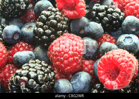 Beaucoup de différents fruits rouges sur fond blanc Banque D'Images