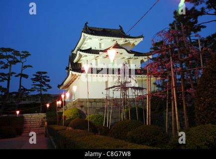 Temps de nuit vue sur le château historique au Japon Banque D'Images