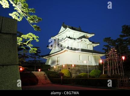 Temps de nuit vue sur le château historique au Japon Banque D'Images